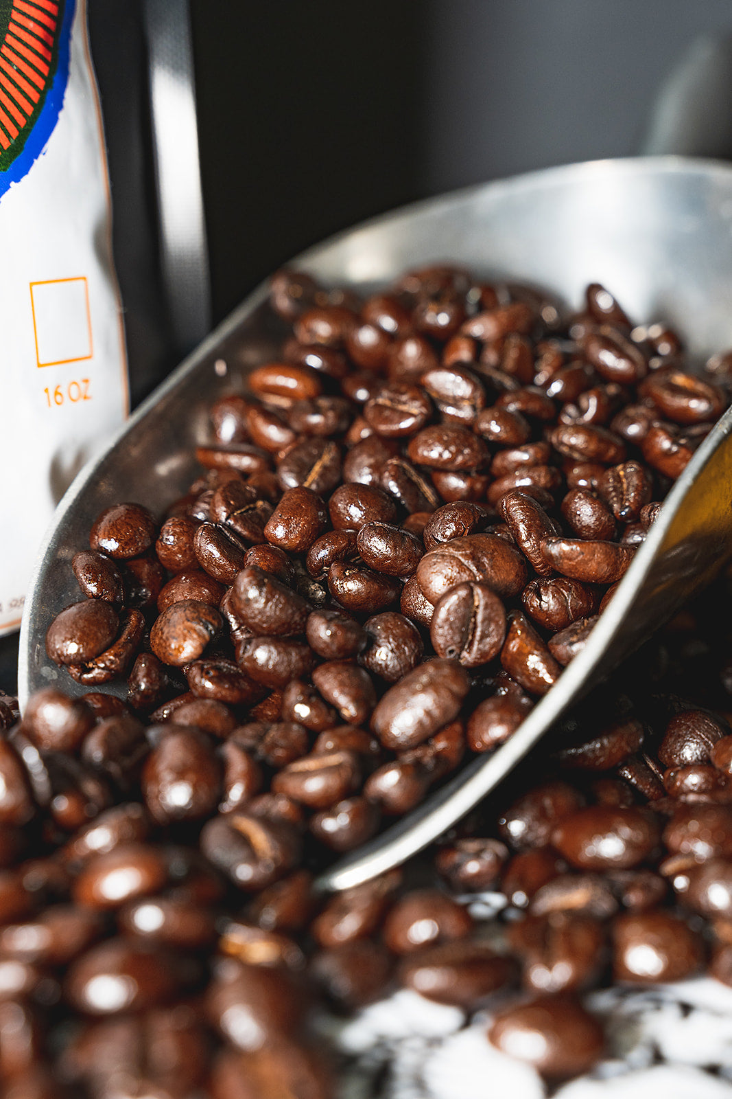 French Roast Robusta